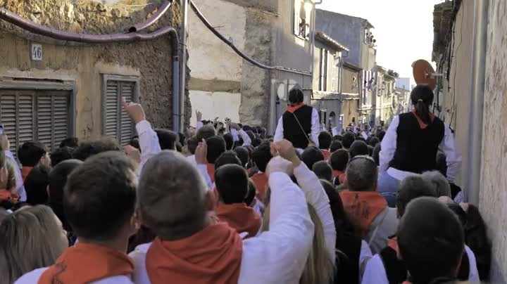Sons de la festa: Sant Antoni Artà 2023
