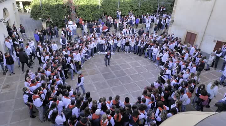 Sons de la festa: Sant Antoni Artà 2023